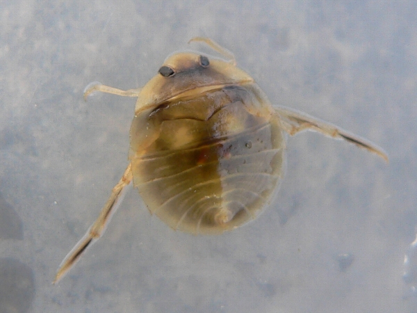 e0002314_20492942.jpg