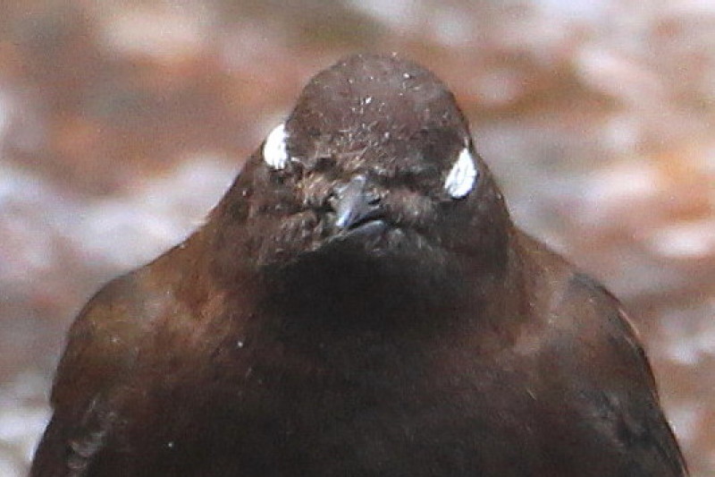 b0179023_19562070.jpg