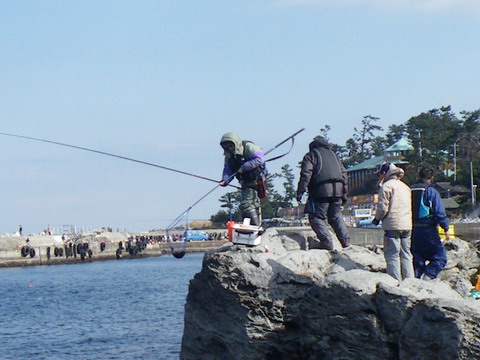 c0202727_821946.jpg