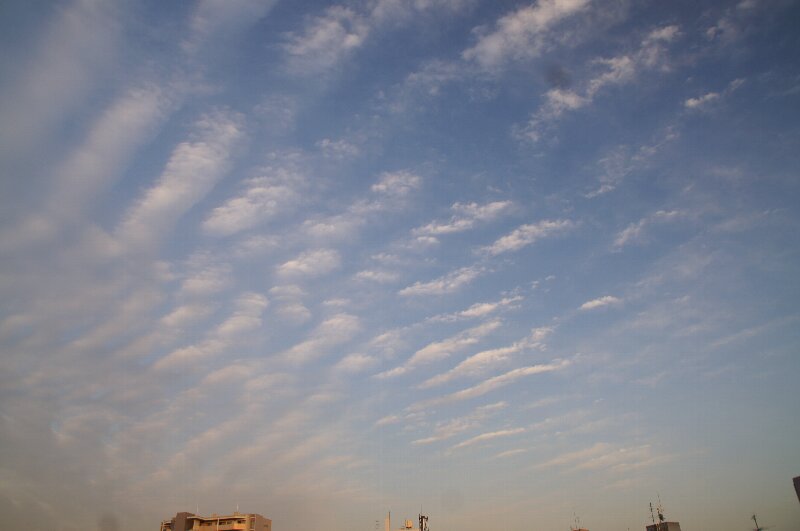a0122932_1037524.jpg