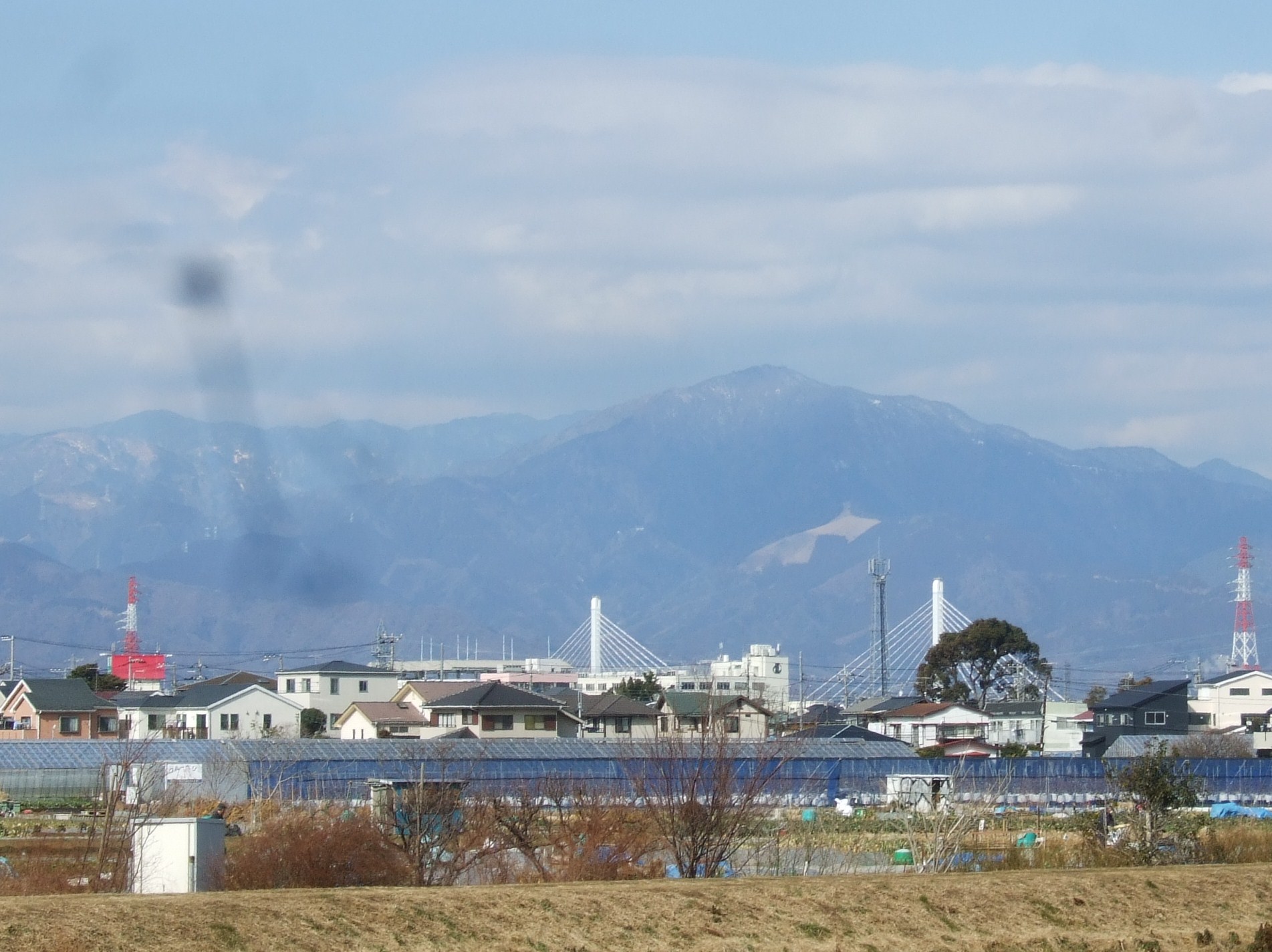 梅も桜も開花しました....もう少しで満開！_b0137932_926148.jpg