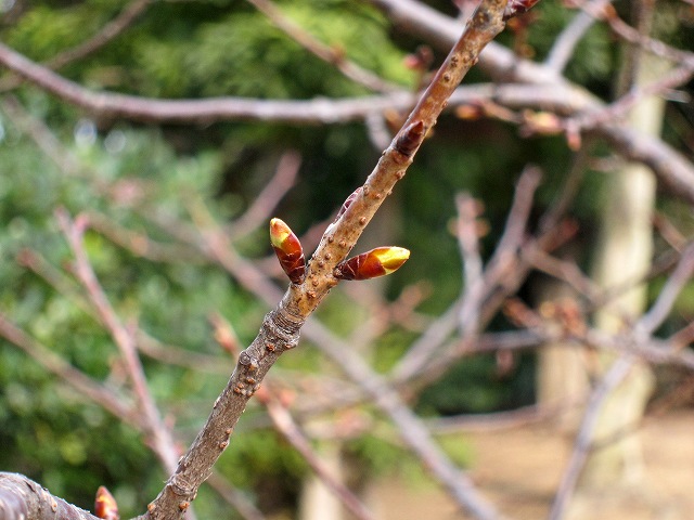 a0242438_1921361.jpg