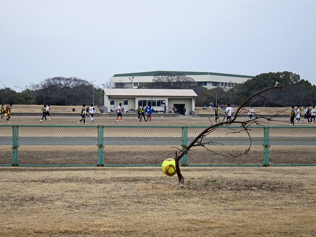 a0242438_19242188.jpg