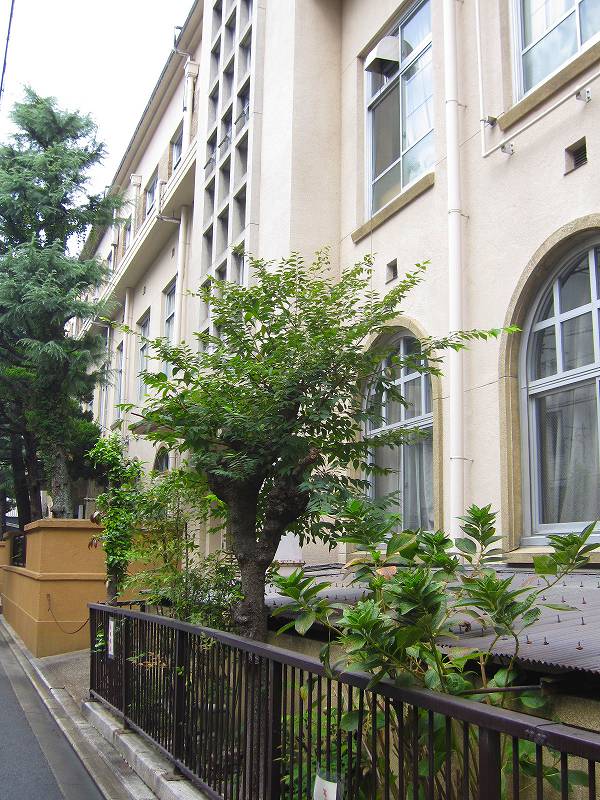 e0237645_17245059.jpg