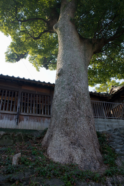 ◆福島八幡宮　３_b0023047_17455363.jpg