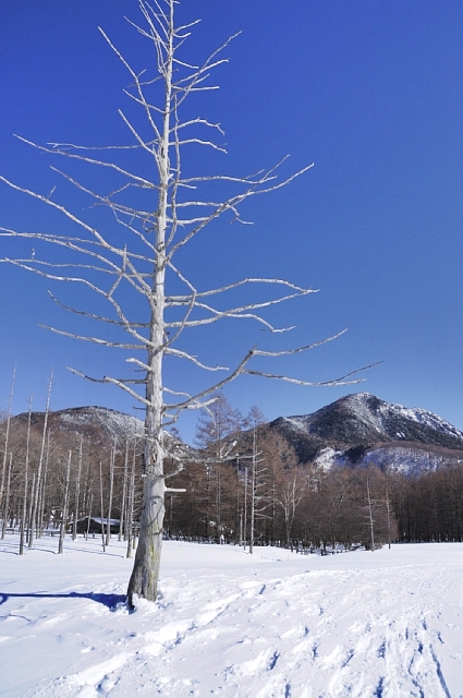 b0122448_21314819.jpg