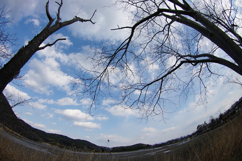 f0152550_15432925.jpg
