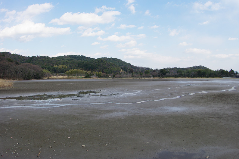 f0152550_15434152.jpg