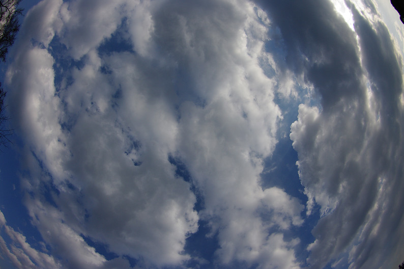 f0152550_15441757.jpg