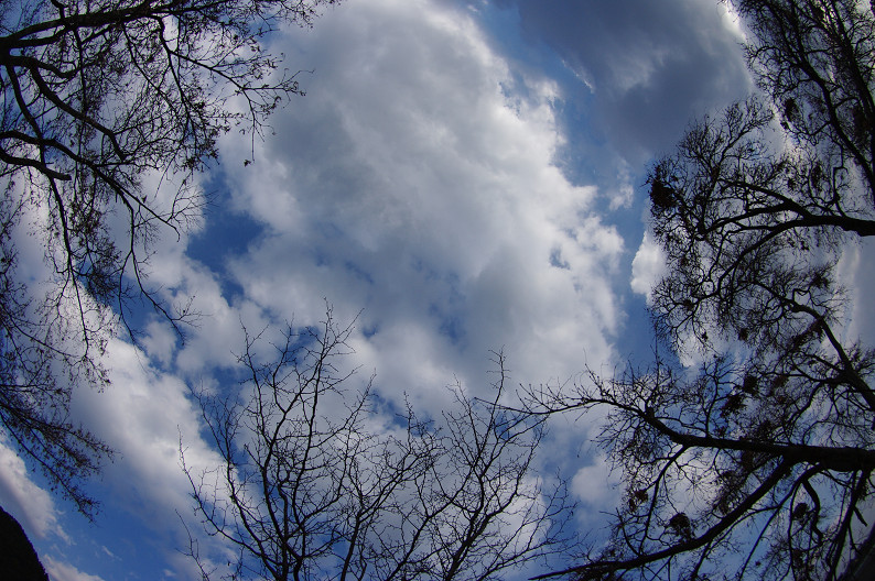f0152550_15442876.jpg