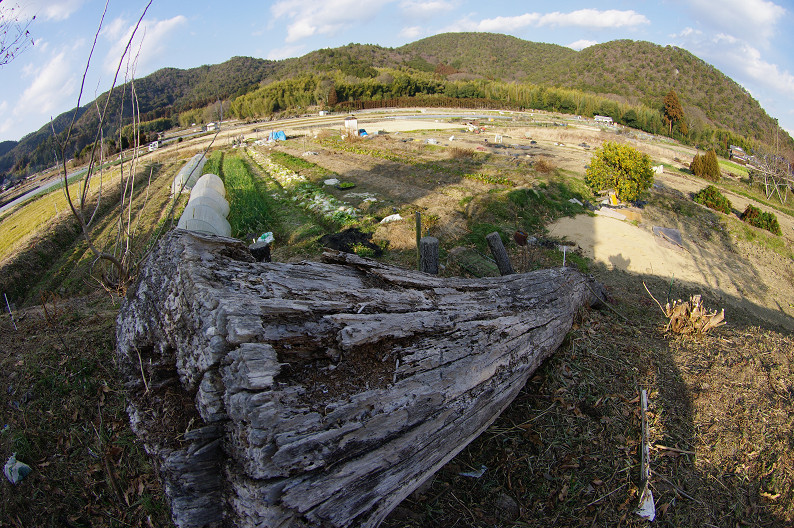 f0152550_15473423.jpg