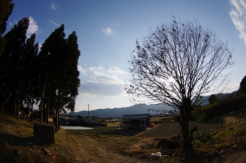 f0152550_15474341.jpg