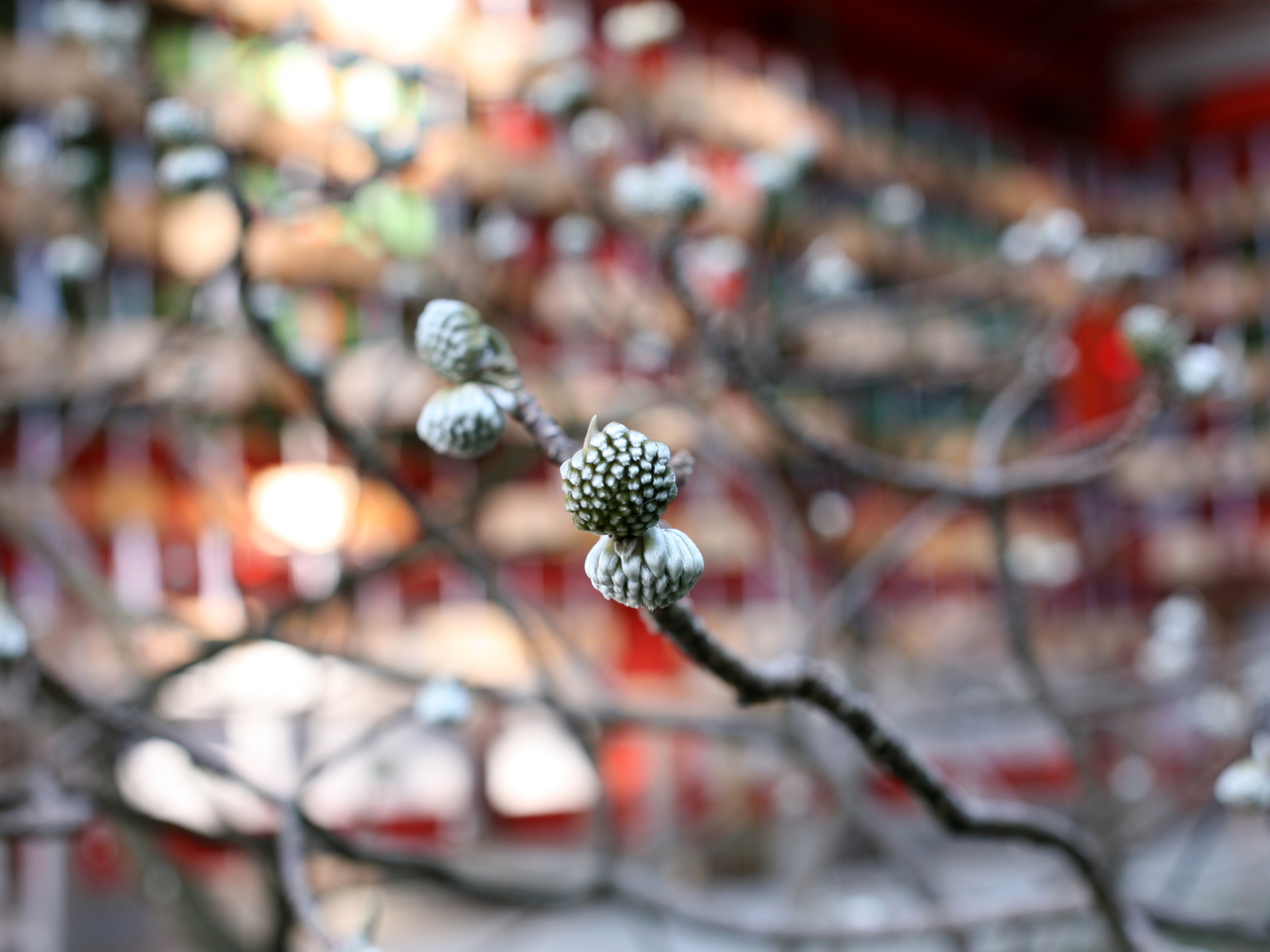 荏柄天神社_f0205851_21573033.jpg