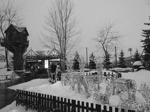 a0193457_8483327.gif