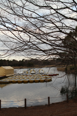 冬の公園から、春の気配_f0214858_21255664.jpg