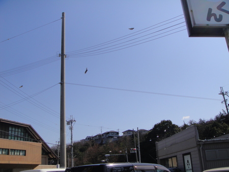 c0108460_18145099.jpg