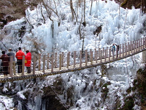 e0088260_1171247.jpg