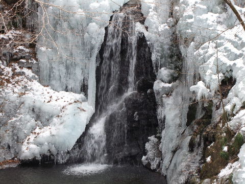 e0088260_1174617.jpg