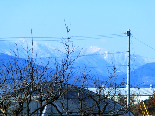 c0105569_0193698.jpg
