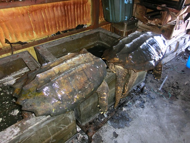 c0105569_0225646.jpg