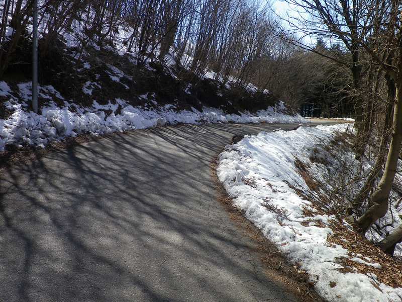 折原からの釜伏峠、定番、嵐山・滑川の丘_b0104774_2384775.jpg