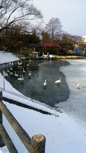 b0076384_1262037.jpg