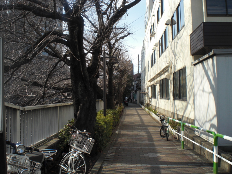 c0013687_1755138.jpg