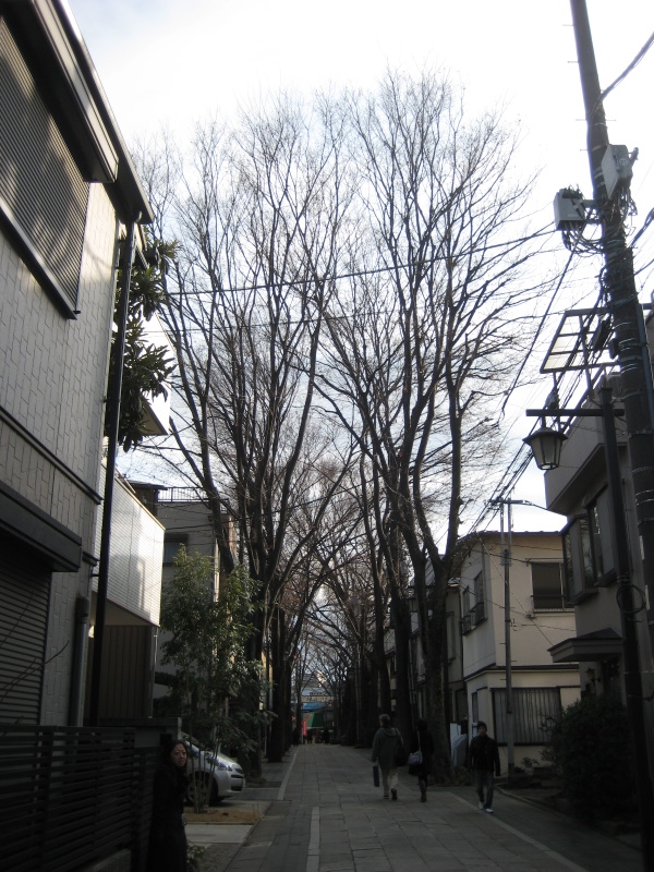 c0013687_1775520.jpg