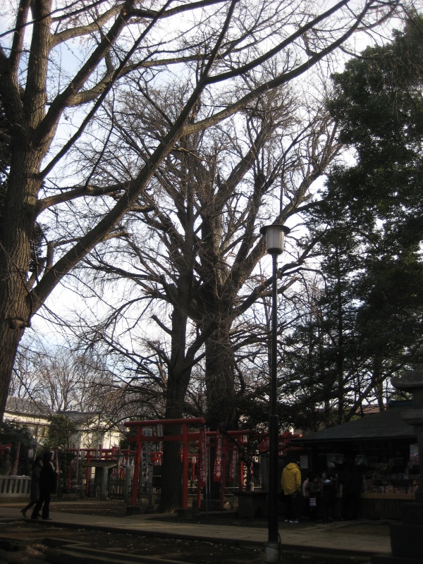 c0013687_1792019.jpg