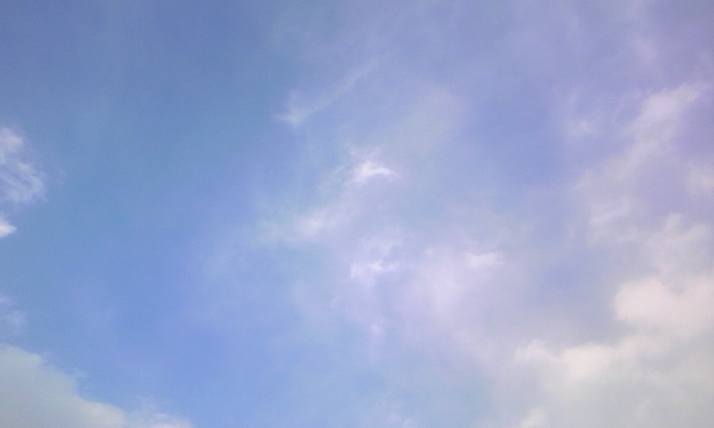 d0086191_01839.jpg