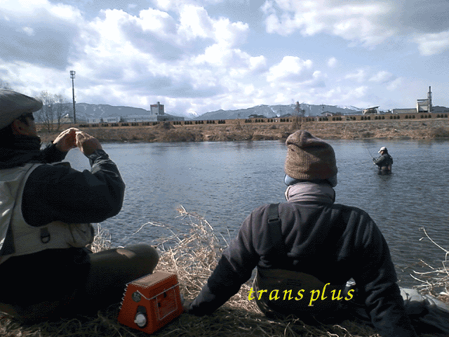 b0031493_14191039.gif