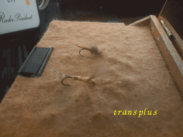 b0031493_14295884.gif