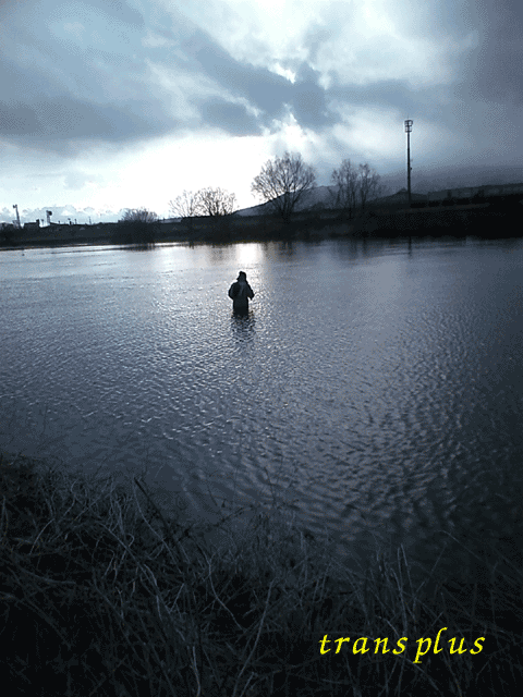 b0031493_14331571.gif