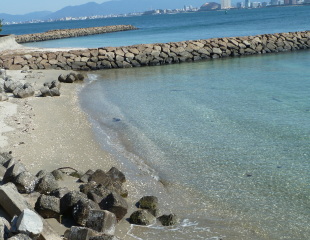 f0166694_18505655.jpg