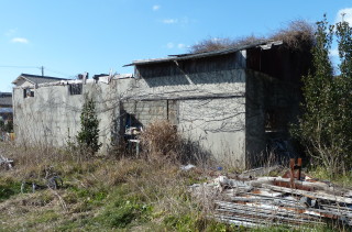 f0166694_21245778.jpg