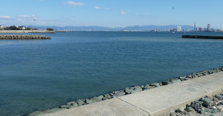 f0166694_21262254.jpg