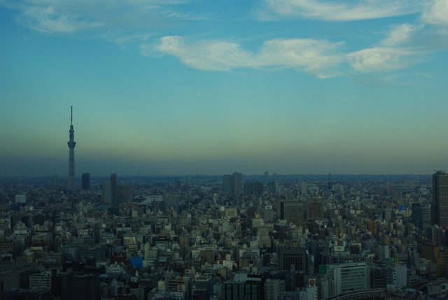 a0059395_12283630.jpg
