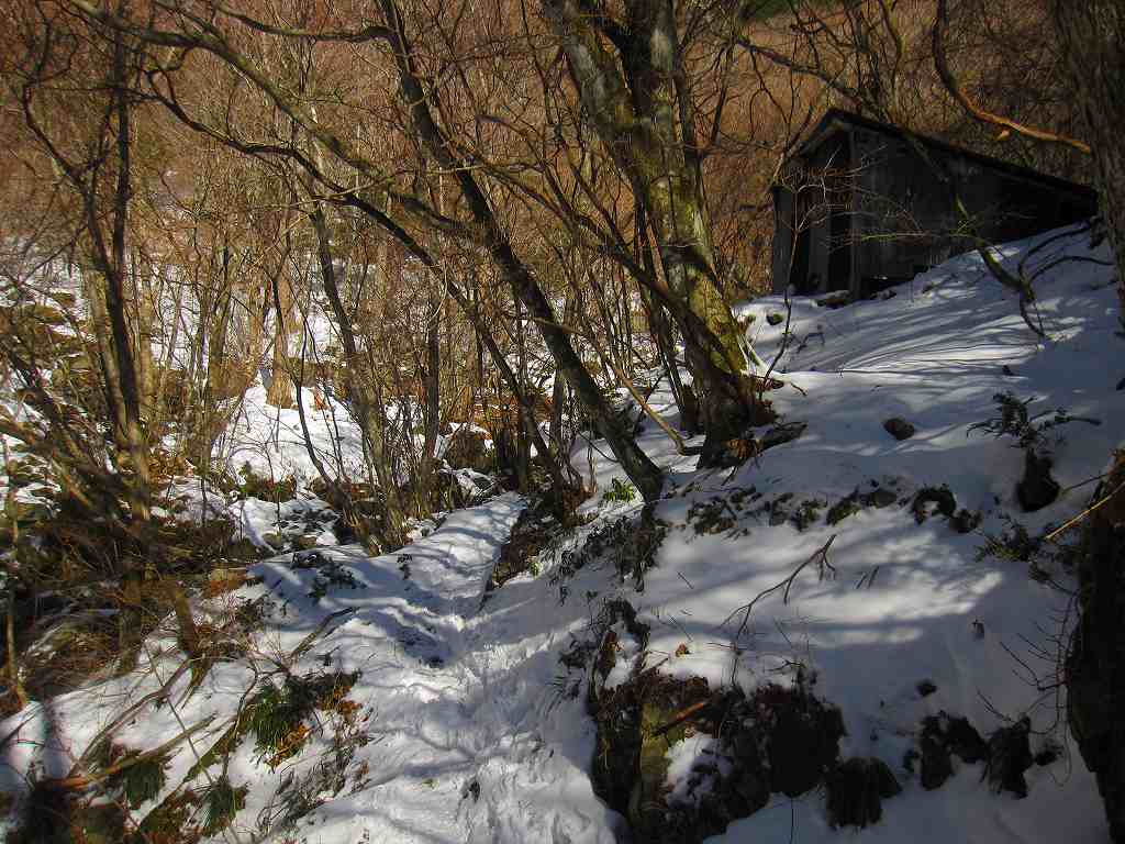 伊吹山　　素晴らしい晴天　　愛媛県　24.02.12_b0124306_22155216.jpg