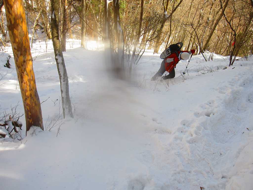 伊吹山　　素晴らしい晴天　　愛媛県　24.02.12_b0124306_2250475.jpg