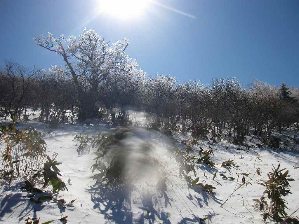 伊吹山　　素晴らしい晴天　　愛媛県　24.02.12_b0124306_2256419.jpg