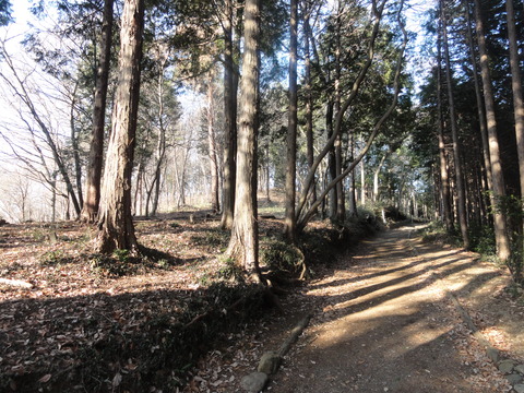 a0174909_10393860.jpg