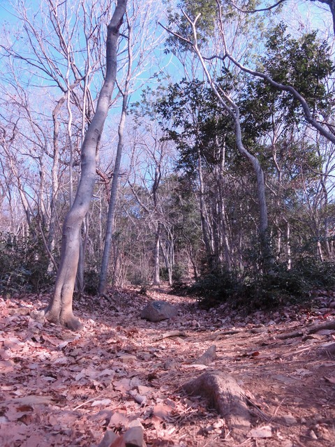 a0174909_10451654.jpg
