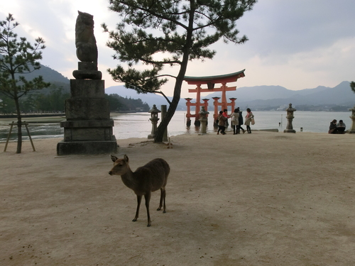 安芸の宮島　⇒岩国_f0230410_22331933.jpg