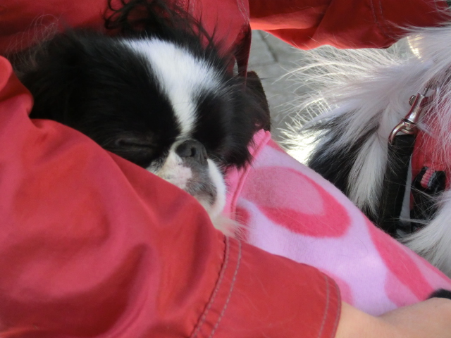 c0200916_146574.jpg
