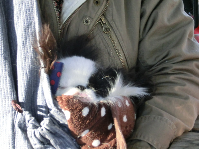 c0200916_148081.jpg