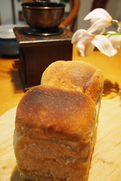 雪の津和野と焼き菓子_e0222120_208519.jpg