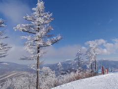 f0022024_22474023.jpg
