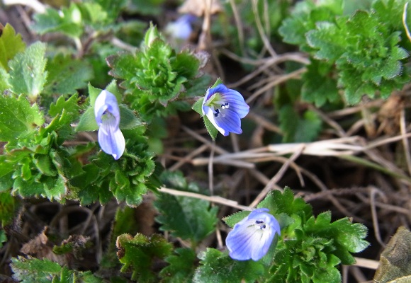 f0214527_21341946.jpg
