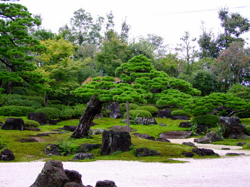 「島根県　出雲・松江を巡る旅2011　大根島の日本庭園　由志園」_a0000029_11402146.jpg