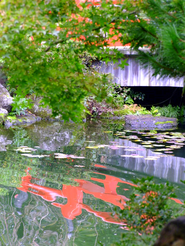 「島根県 出雲・松江を巡る旅2011 大根島の日本庭園 由志園」_a0000029_12113971.jpg